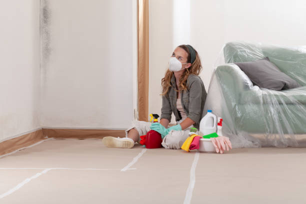 Reliable Mold Remediation contractor in Keedysville, MD by WQB Mold Removal